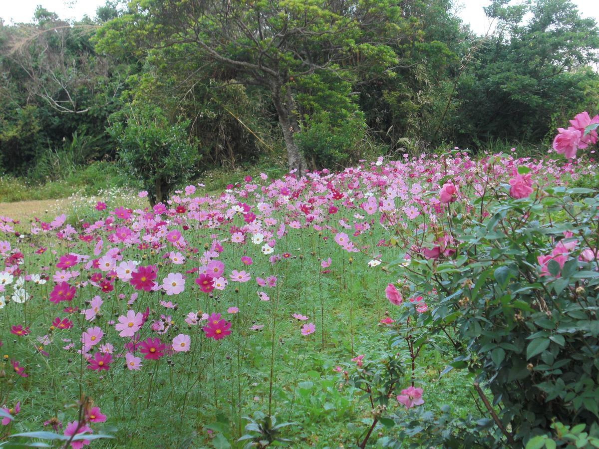 Higashi Matayoshi Coffee Farm 빌라 외부 사진